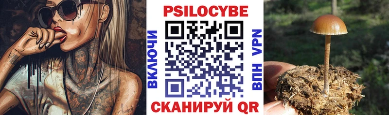 мориарти клад Малая Вишера Галлюциногенные грибы ЛСД